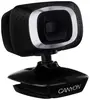 Web-камера для компьютеров Canyon C3 HD 720р черный серебристый