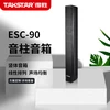 Звуковая колонка Takstar ESC-90 настенная управляемая
