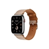 Умные часы Apple Watch Series 9 Hermes (GPS + Cellular), 45мм, Silver Case/Gold/Ecru Toile H