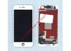 Дисплей (экран) в сборе с тачскрином для iPhone 8/SE 2020 (Hancai) белый