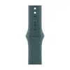 Ремешок Apple Sport Band, 42 мм, S/M, Lakeside Green