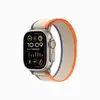 Умные часы Apple Watch Ultra 2, 49 мм, GPS+Cellular, Natural Titanium Case/Orange/Beige Trail Loop - S/M