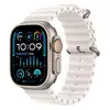 Смарт-часы Apple Watch Ultra 2 Titanium Case with White Ocean Band (MREJ3)