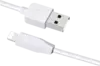 RA2 USB to Apple Lightning 1m White