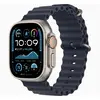 Смарт-часы Apple Watch Ultra 2 49mm Natural Titanium Case with Navy Ocean Band, размер Regular