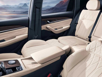 Geely Monjaro Rest