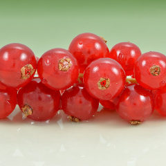 Смородина красная