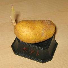 картофель