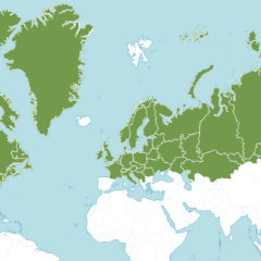 Клюква болотная