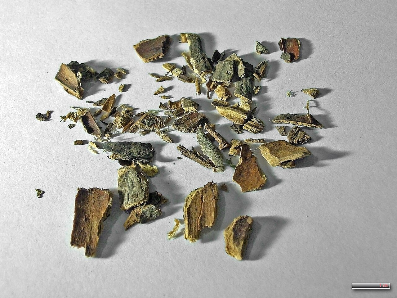 Каскара