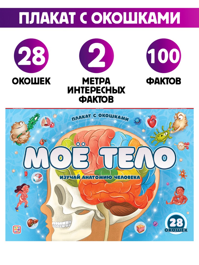 Плакат с окошками. Мое тело