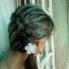DianaD