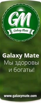 Galaxy Mate (official public)