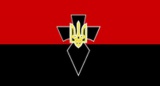 Lybomir Dranishnikov