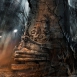 Lost Rain