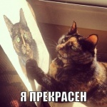 Zhenya Algaer