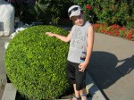 Dima Jobs