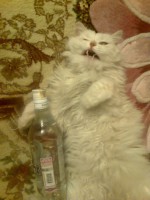 Dmitriy