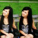 Dishulya