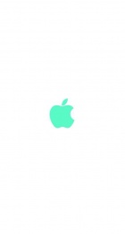 Apple-23
