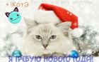 • iКотЭ
