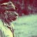 Tiger MobbitYaN