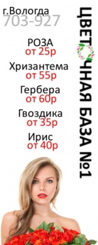 ДЕШЕВЫЕ ЦВЕТЫ и БУКЕТЫ в ВОЛОГДЕ. РОЗЫ от 25 руб.