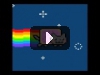 nyna cat