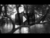 Enno Velthuys - Swamp