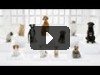 The Bark Side: 2012 Volkswagen Game Day Commercial Teaser