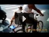 cat sits on bicycle