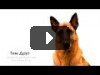 ND Production - Новый iDog (Пародия на iPhone 4s / с Kate Clapp)