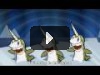 Narwhals