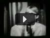 Nirvana - In Bloom