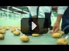 Электричество из картошки