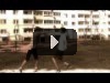 Cool Slow motion Effect