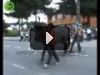 Лучшие приколы года / Топ 100