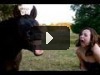 Самые ржачные приколы 2013 года!!! (Funniest jokes 2013)