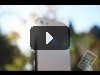 iPhone 5: обзор от keddr.com