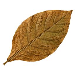 Tabaco