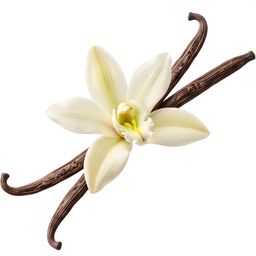 Vainilla