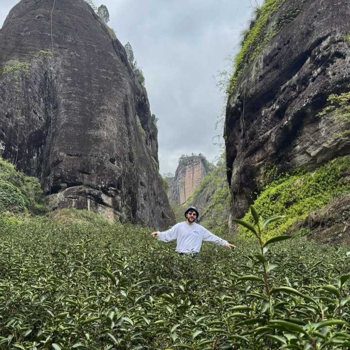 Подлинный белый чай из провинции Фуцзянь с доставкой