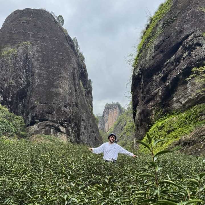 Ищём хороший Да Хун Пао в горах Уишань