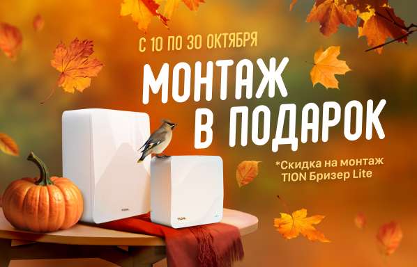 акция