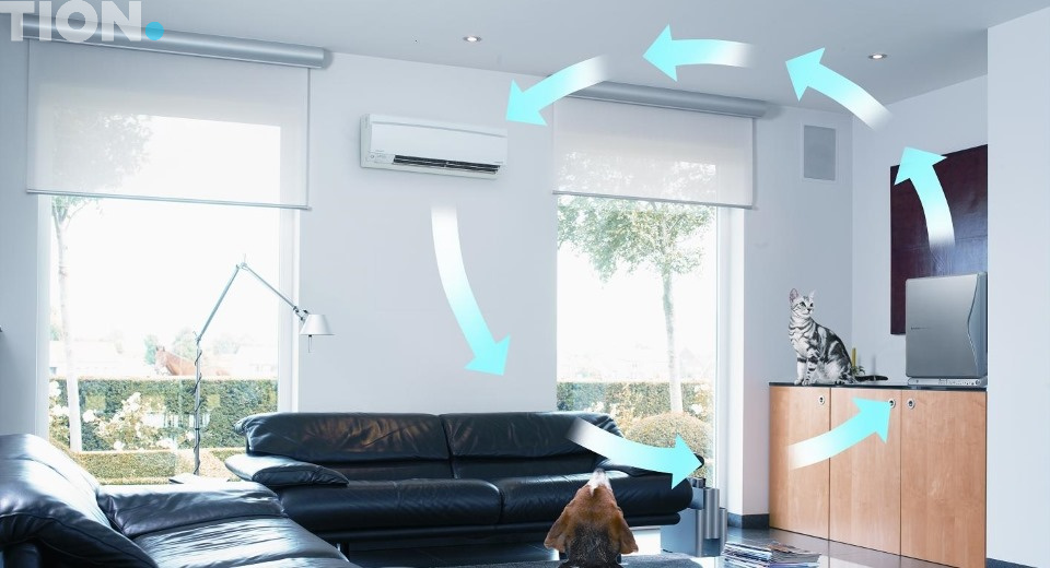 изображение к статье: Топ 5 вопросов и ответов: чистый воздух в доме