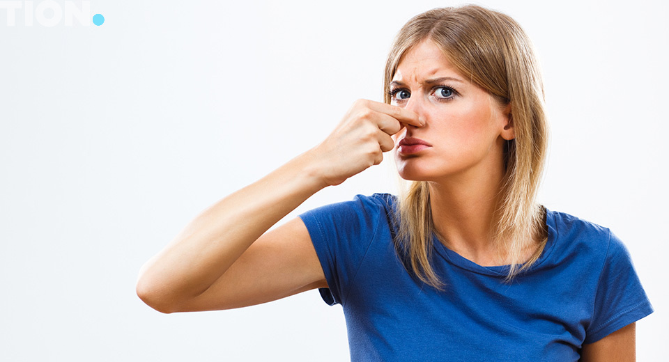 изображение к статье: Война носов: как избавиться от запаха сырости?