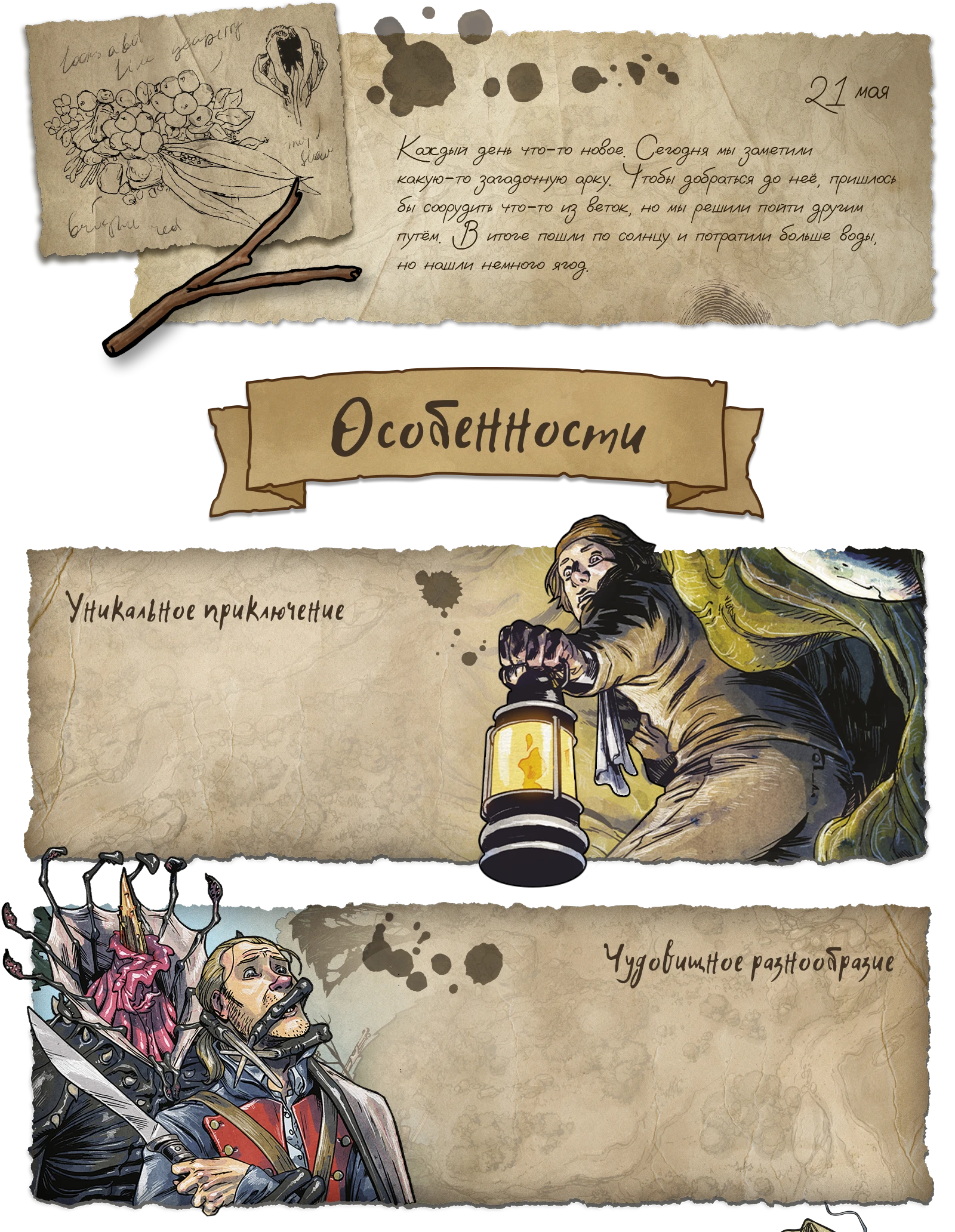 Особенности 11