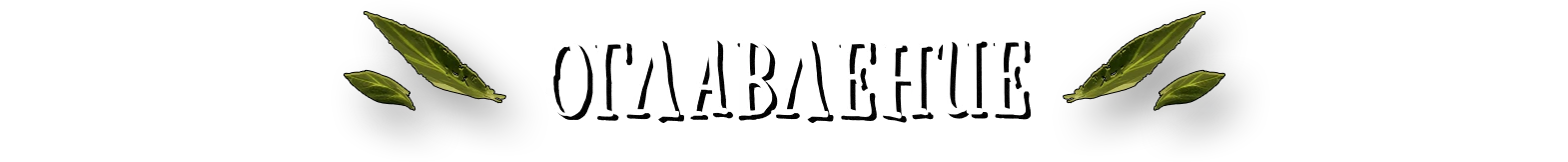 Оглавление (3) копия