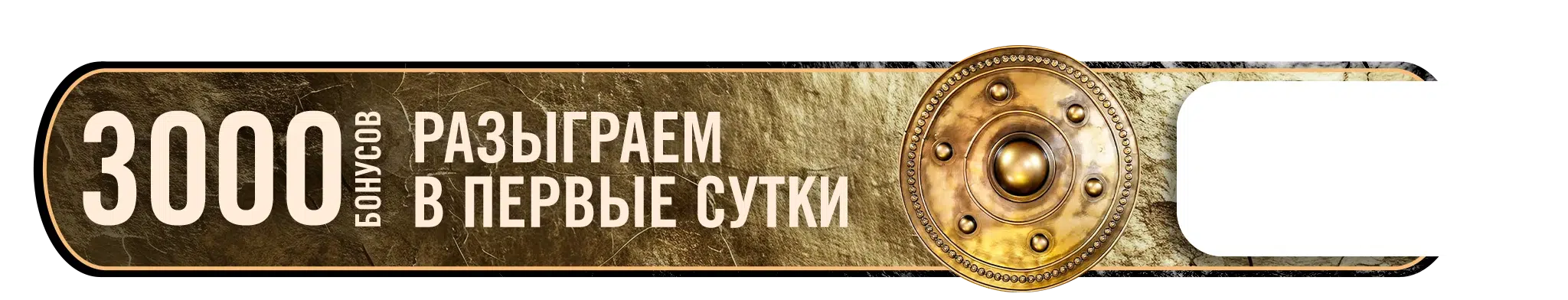 3000 бонусов копия