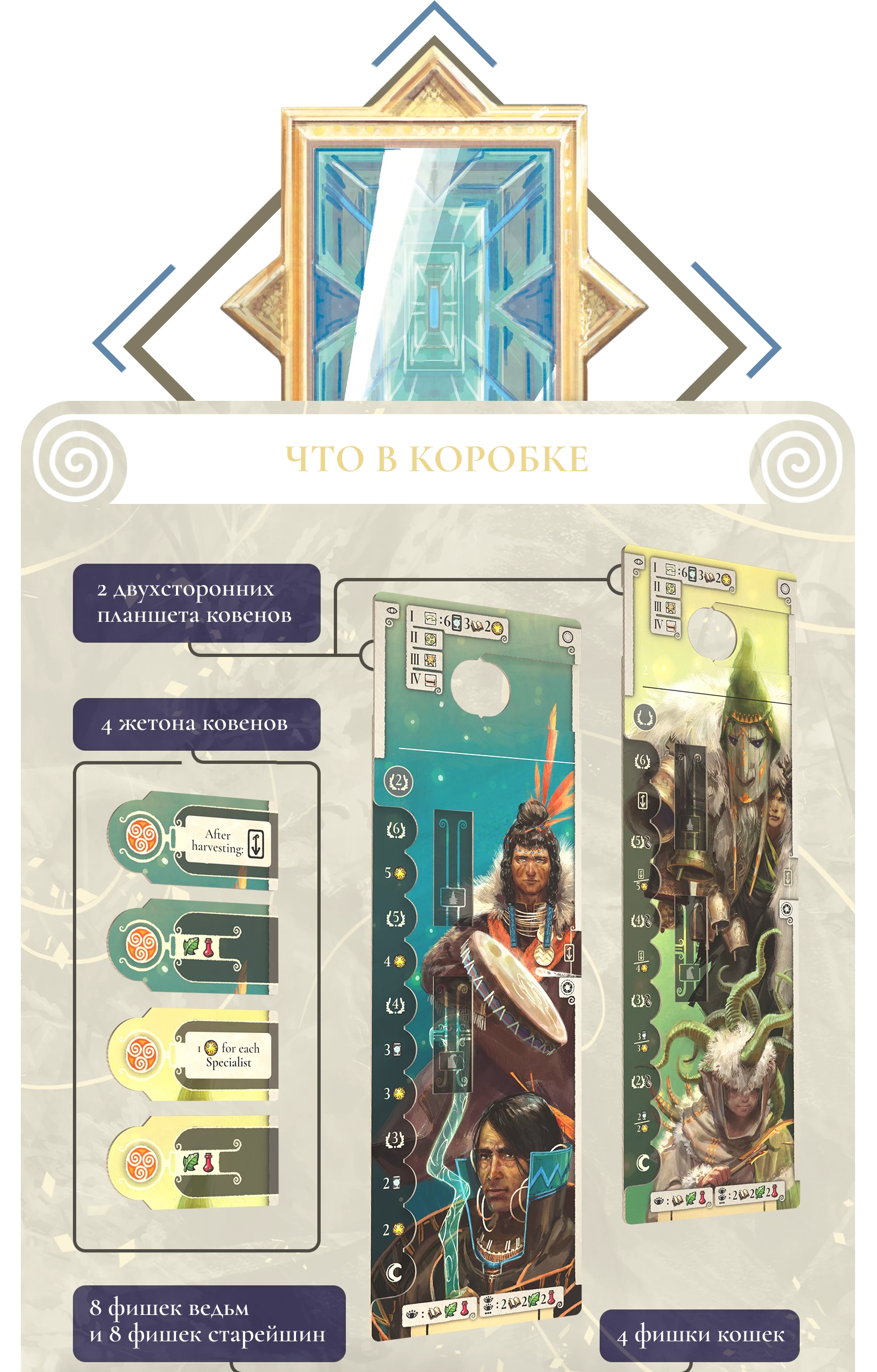 10 predzakaz что в коробке 1